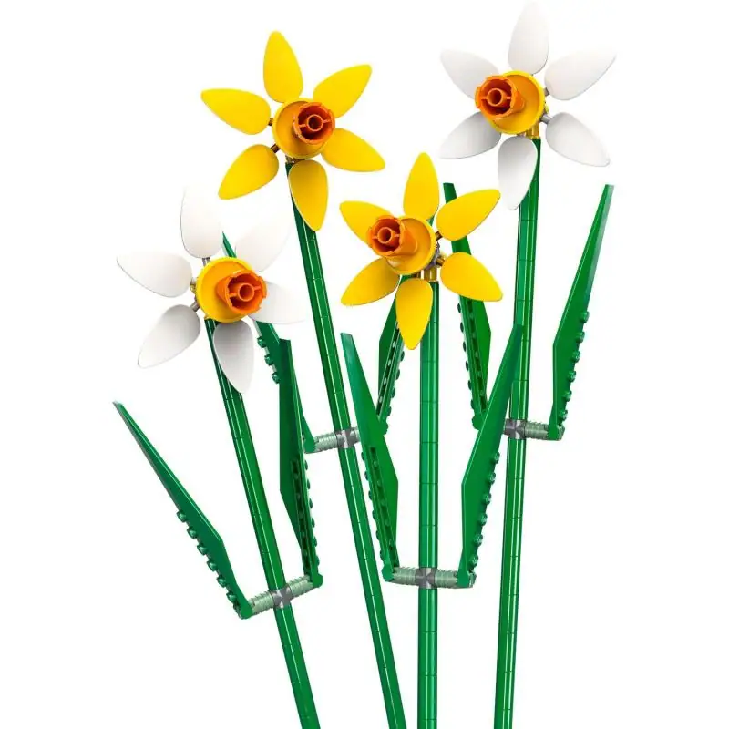 Narcisy - Obrázek 3