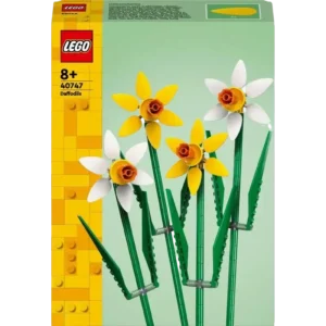 Narcisy